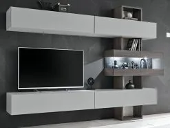 Hyllykkö ASM Tokio, Harmaa