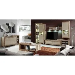 Forte TV -jalusta Genetic, Antiikki Tammi / Beige Kiiltävä. -Olohuoneen kalusteet myymälä tv jalusta genetic antiikki tammi beige kiiltava e646a netistai reference